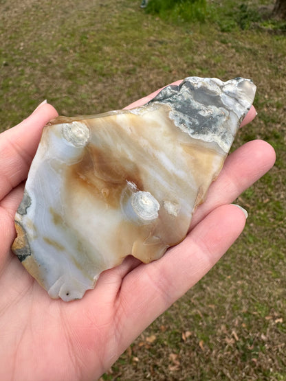 6th Vein Ocean Jasper Polished Freeform #24