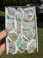 Amazonite Rough Boxed Flat #2