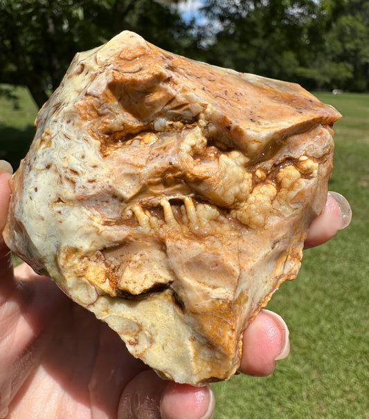 Savannah River Agate Specimen #28