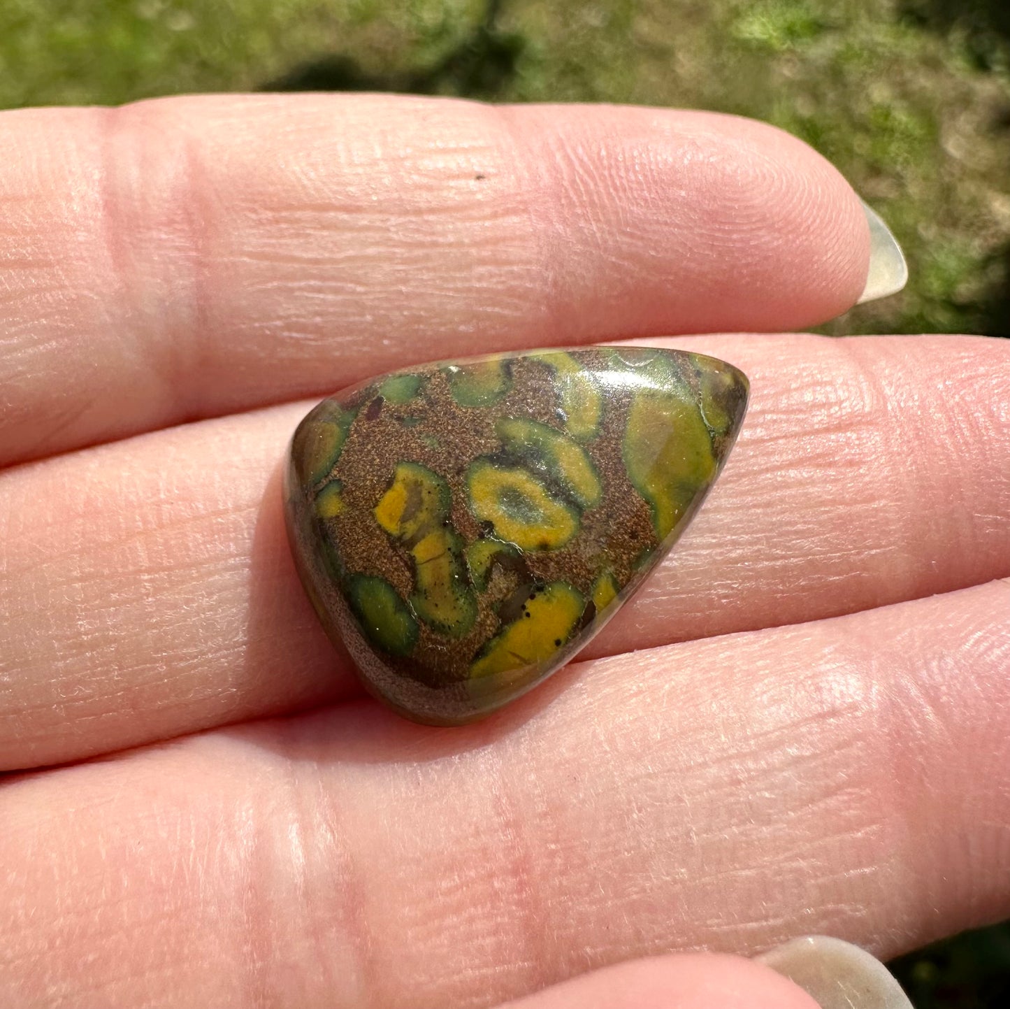 Rainforest Jasper (Rhyolite) Cabochon #16