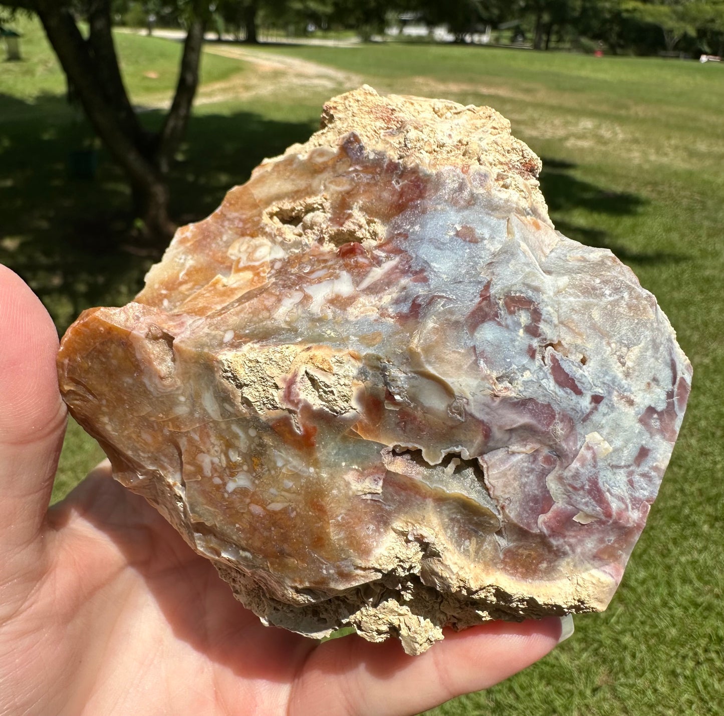 Savannah River Agate Specimen #52