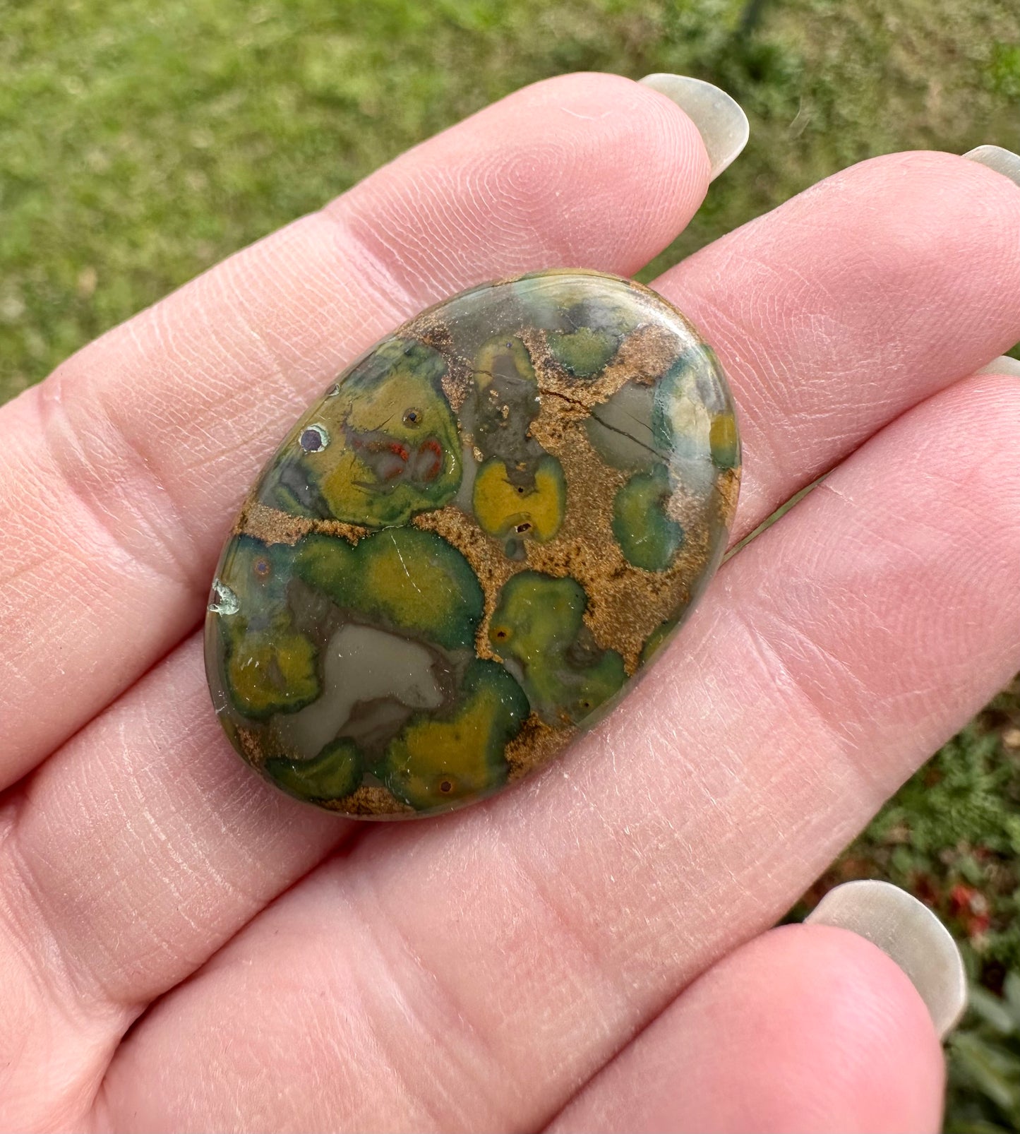 Rainforest Jasper (Rhyolite) Cabochon #9