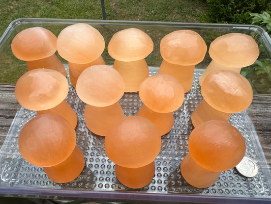 Peach Selenite Mushrooms