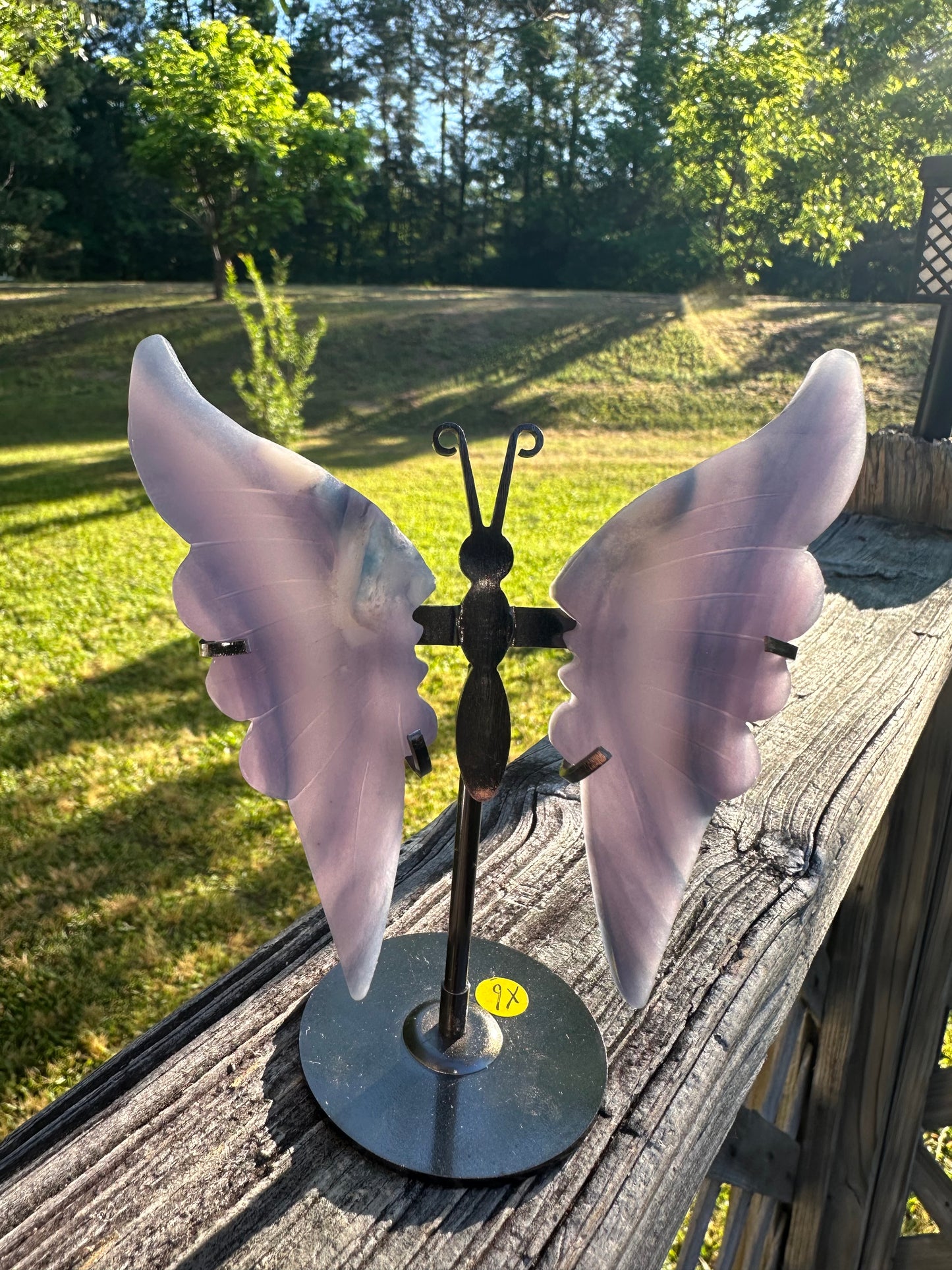 Fluorite Butterfly Wings & Stand #4