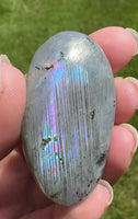 Blue Pink & Purple Labradorite Palmstone #3