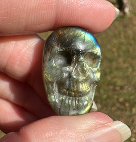 Carved Skull Labradorite with Case