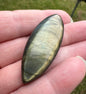 Marquise Labradorite Cabochon 30a