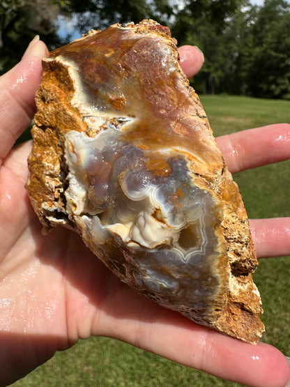 Savannah River Agate Specimen #51