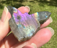 Labradorite Butterfly Fairy with Case