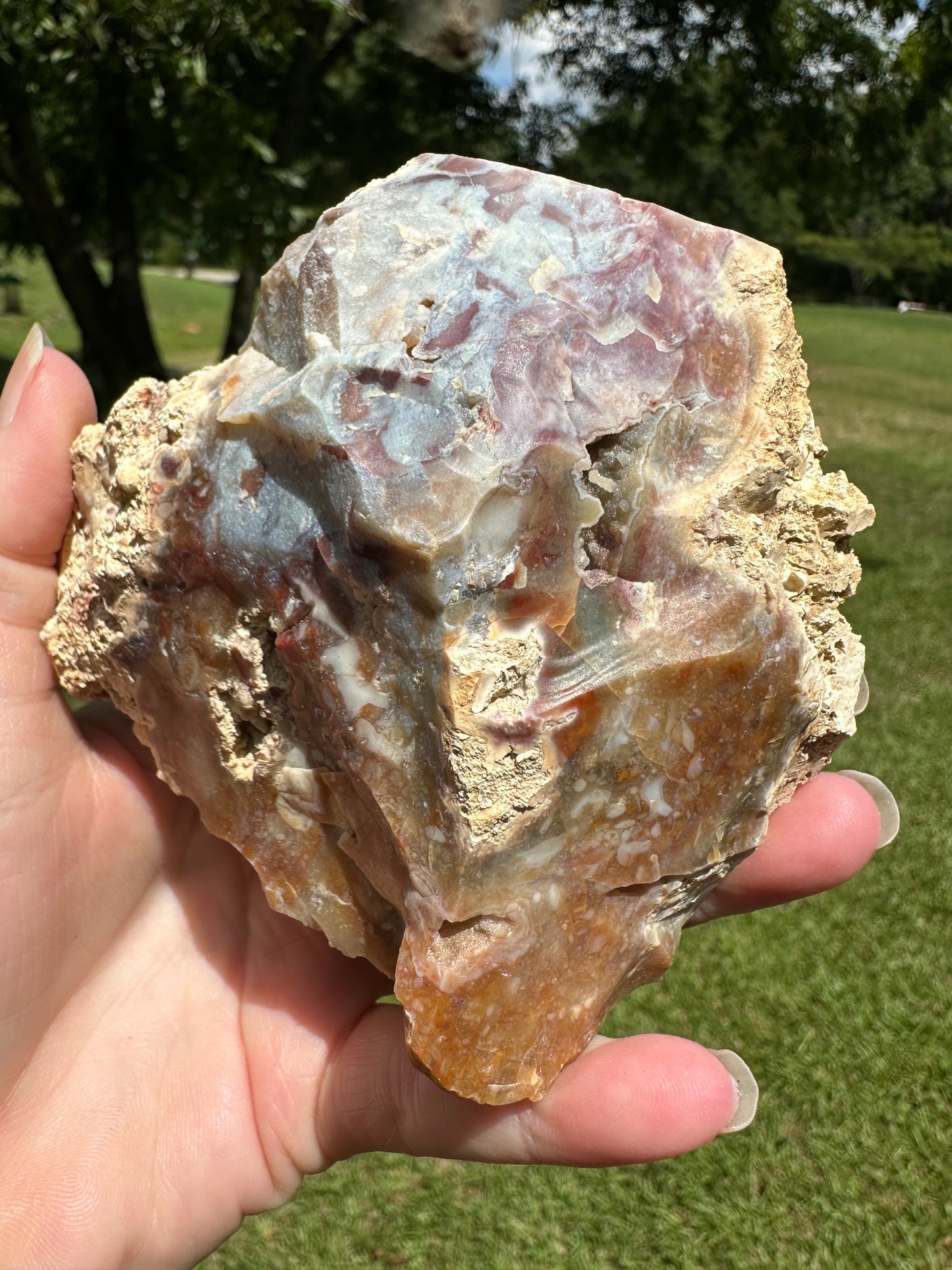 Savannah River Agate Specimen #52