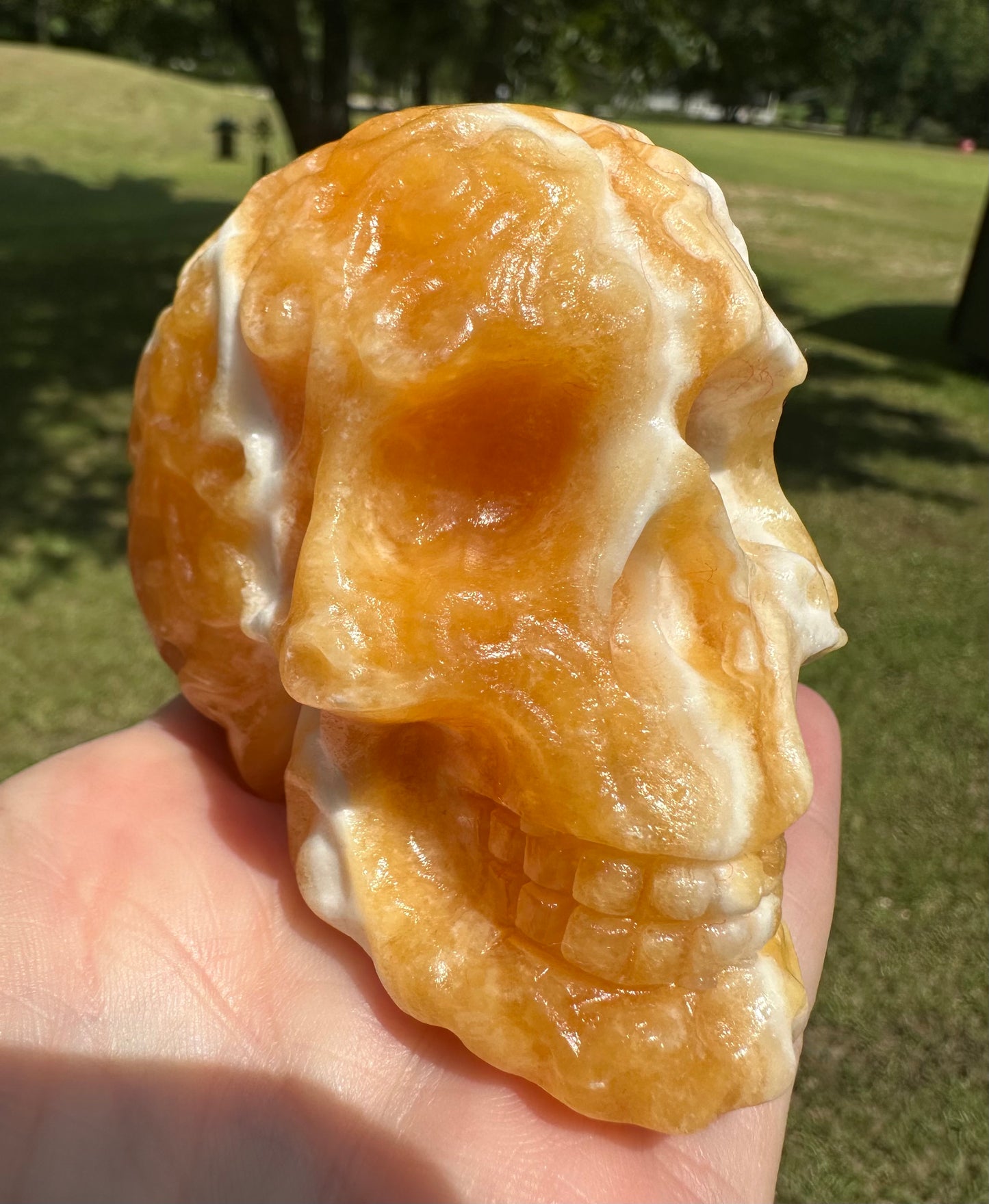 Yellow and White Mixed Calcite Skull