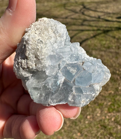 Celestite Cluster Specimen #8