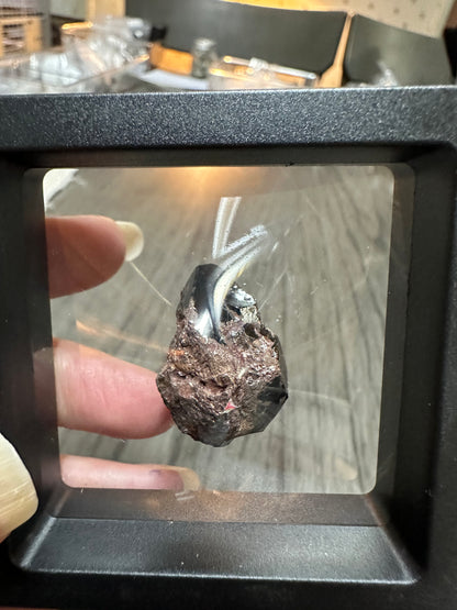 Rutile Specimen from Graves Mountain Ga in Case