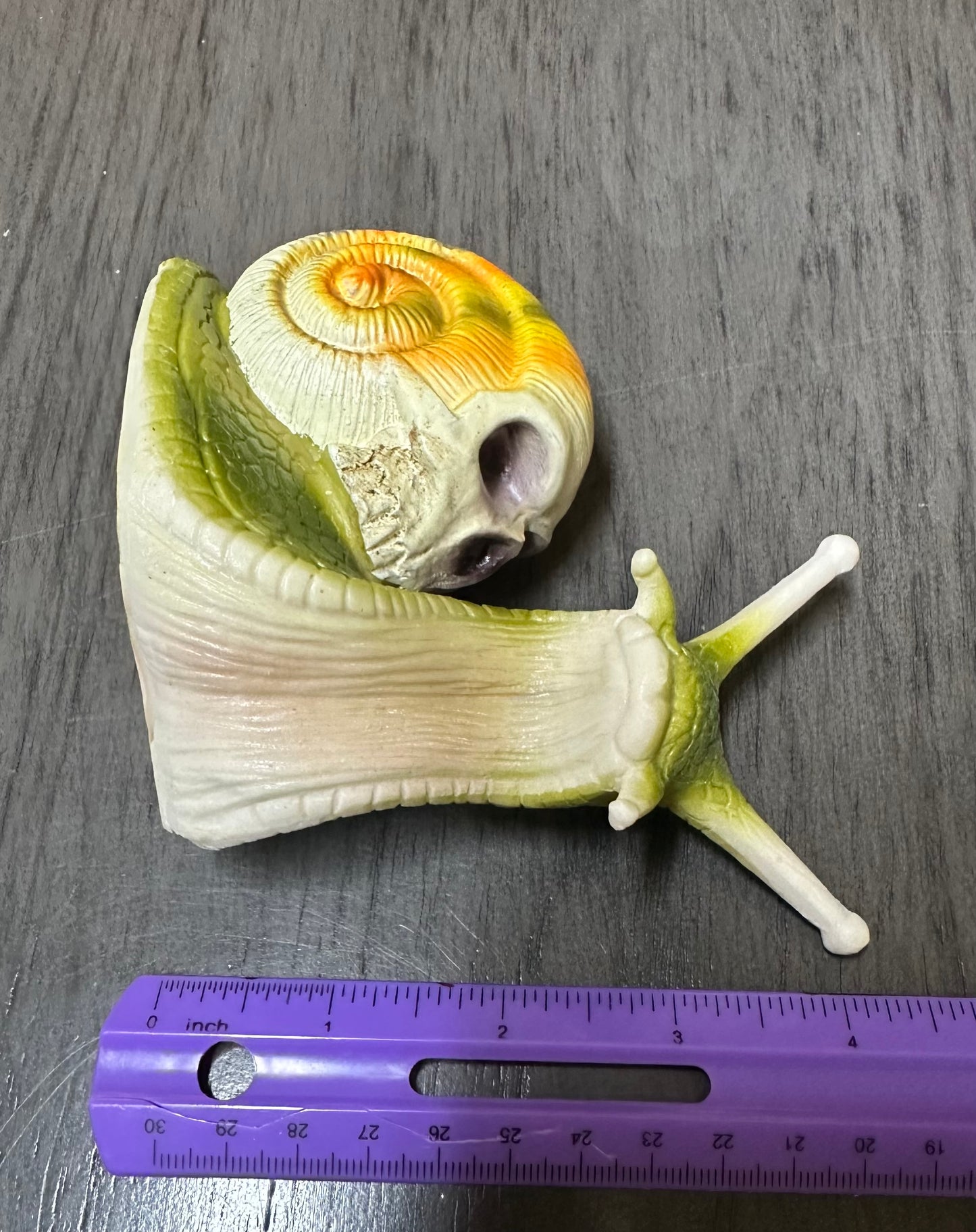 Green & Yellow Orange Snail with Skull