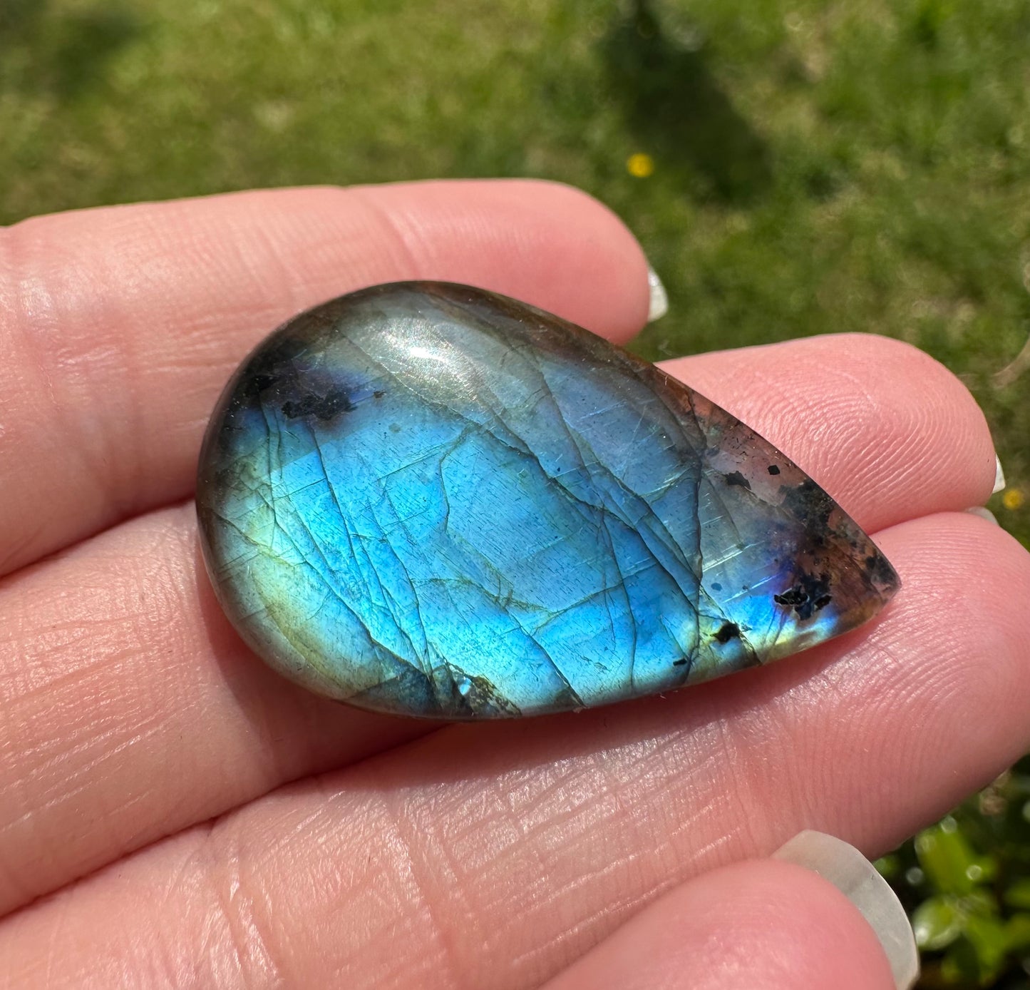 Pearshape Labradorite Cabochon 18a