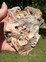 Savannah River Agate Specimen #50 Pastels