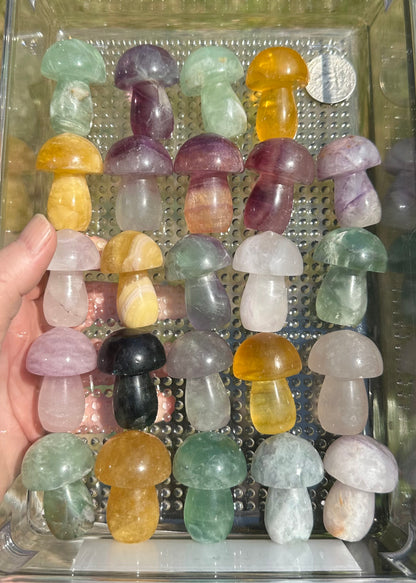 Colorful Fluorite Mushroom Carvings