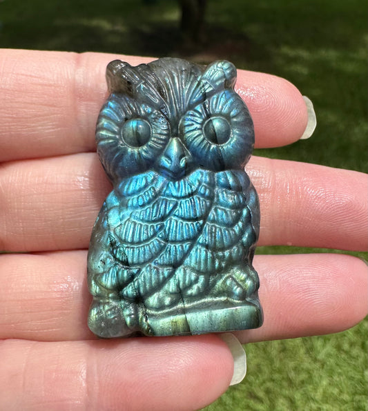 Labradorite Owl Carving with Case