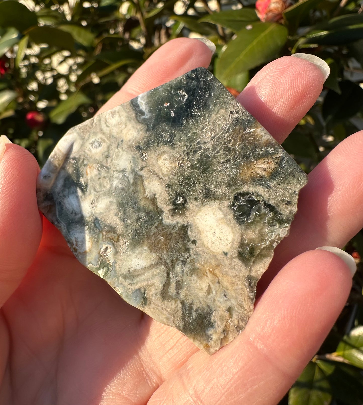 6th Vein Ocean Jasper Polished Freeform #5