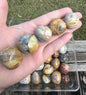 Crazy Lace Agate Tumbles