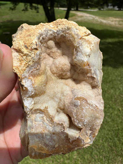 Savannah River Agate Specimen #38