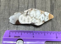 6th Vein Ocean Jasper Polished Freeform #34