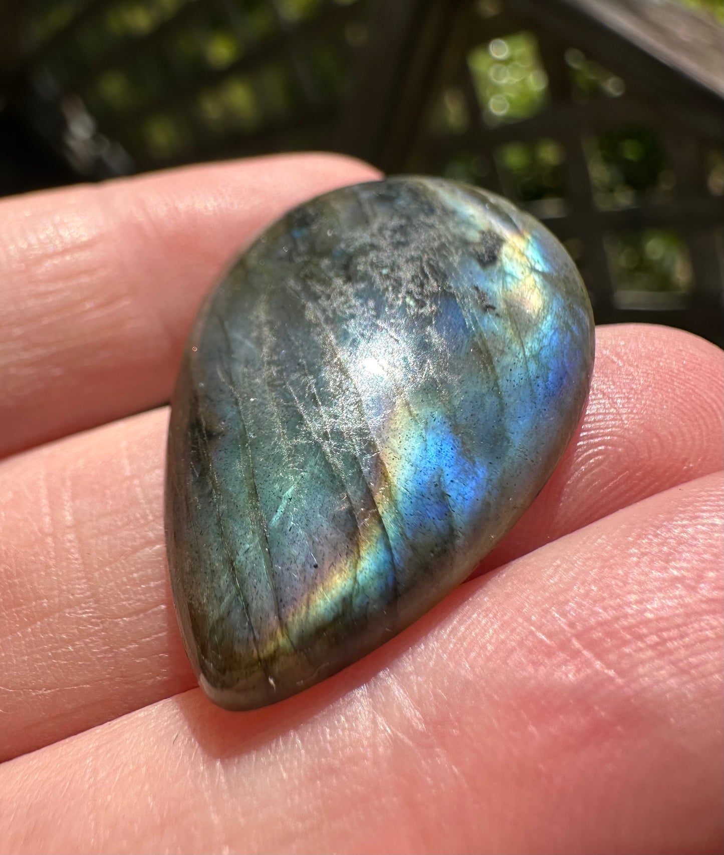 Pearshape Labradorite Cabochon 58a