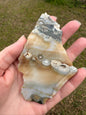 6th Vein Ocean Jasper Polished Freeform #24