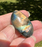 Freeform Labradorite Cabochon 69a