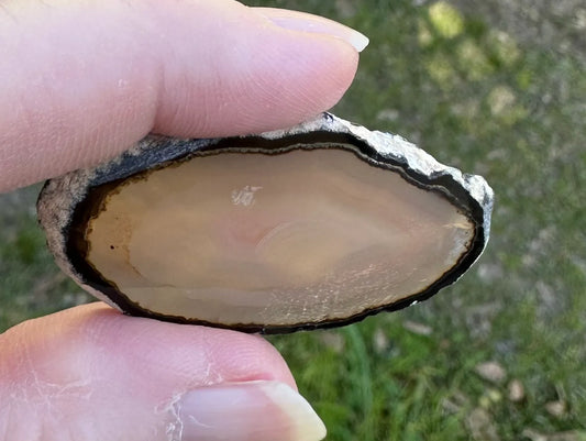 Natural Agate Slice #31