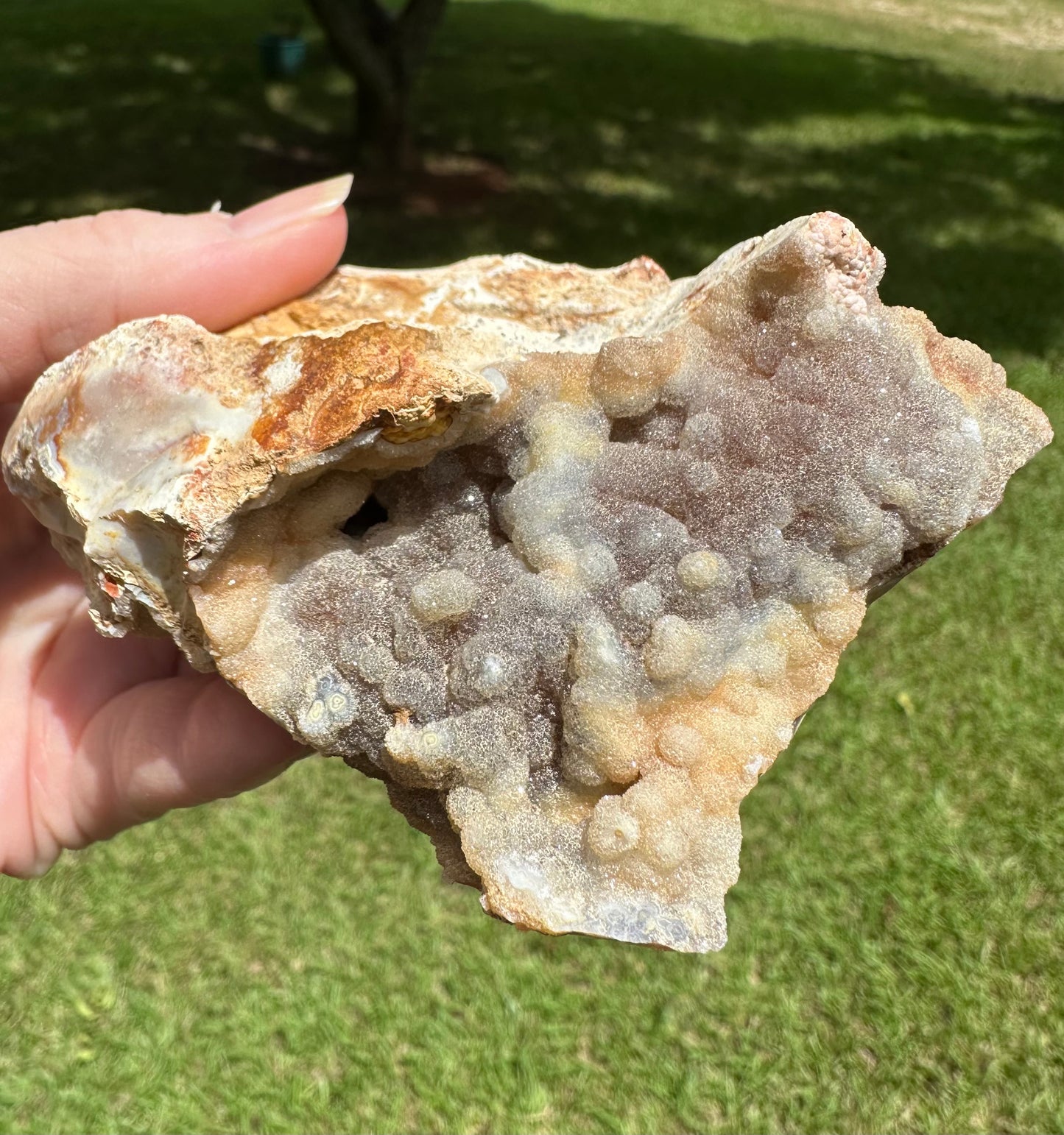 Savannah River Agate Specimen #40