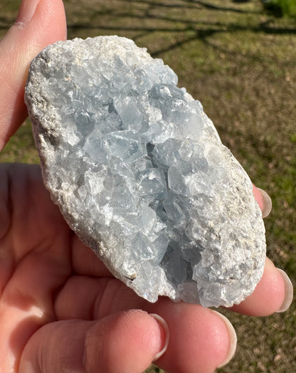 Celestite Cluster Specimen #6