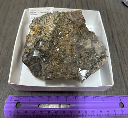 Quartz, Elestial Garden, Lodolite, Jacare, Brazil