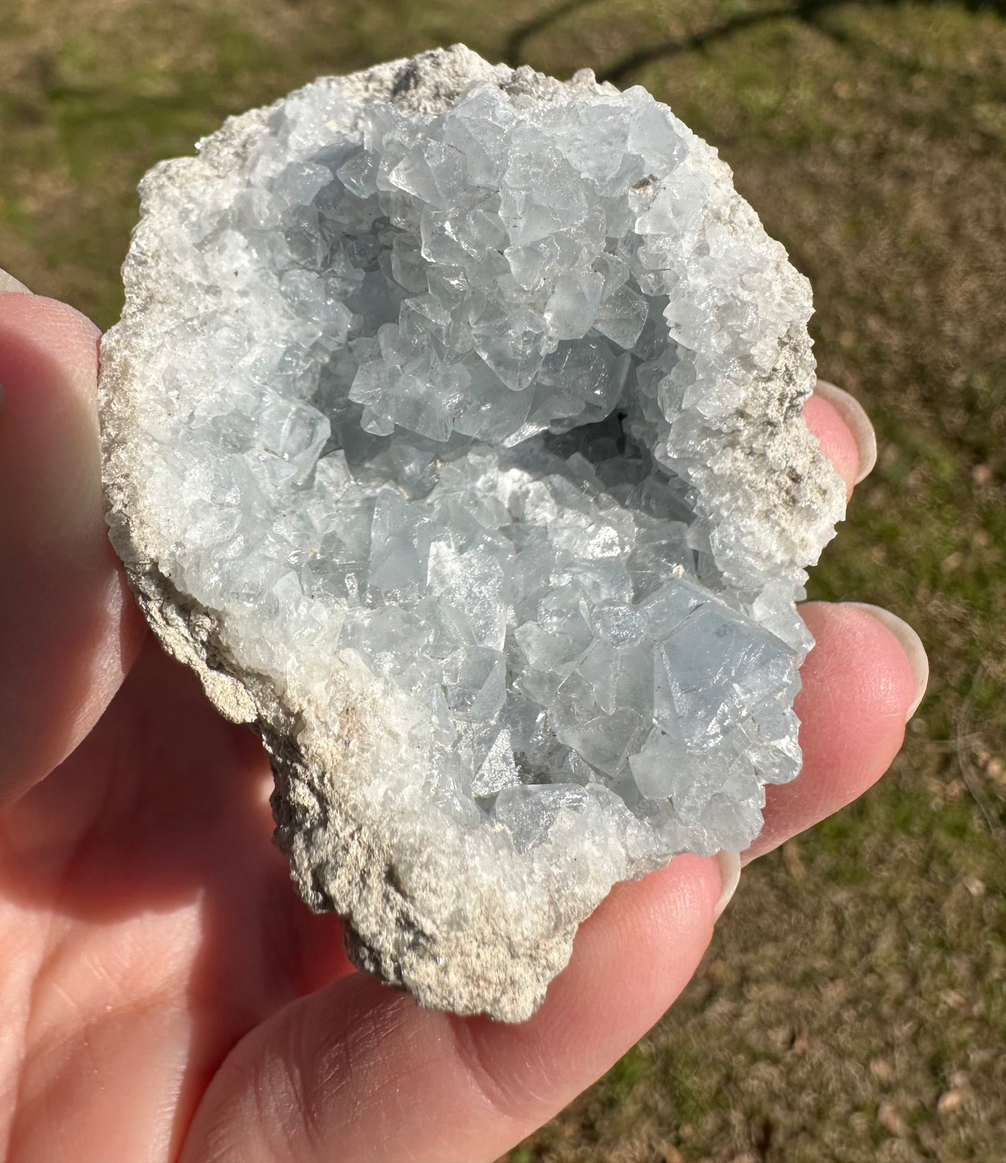 Celestite Cluster Specimen #11