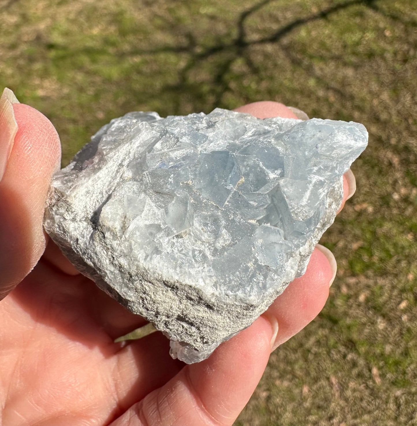 Celestite Cluster Specimen #10