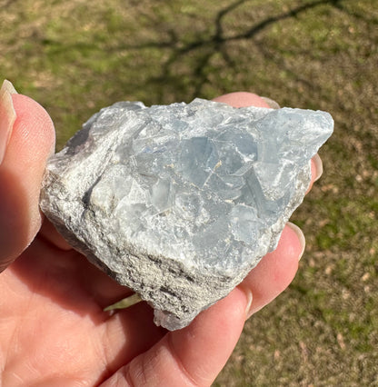 Celestite Cluster Specimen #10