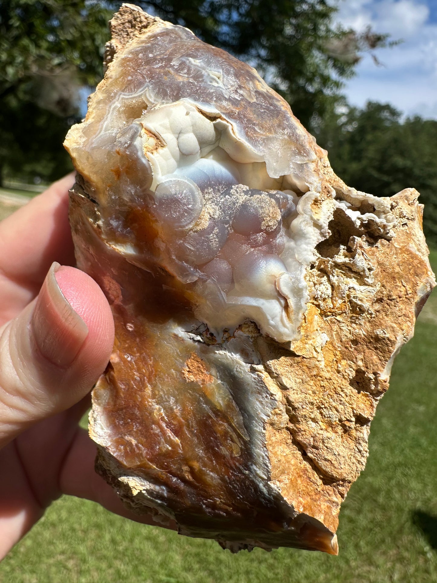 Savannah River Agate Specimen #51