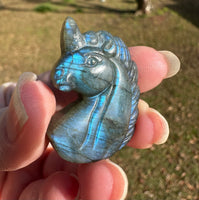 Carved Unicorn Labradorite with Case #2