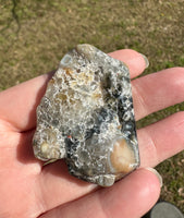 6th Vein Ocean Jasper Polished Freeform #21