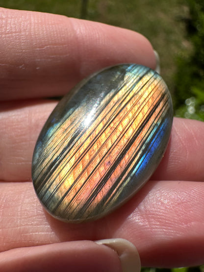 Oval Labradorite Cabochon 64a