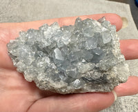 Celestite Cluster Specimen #1