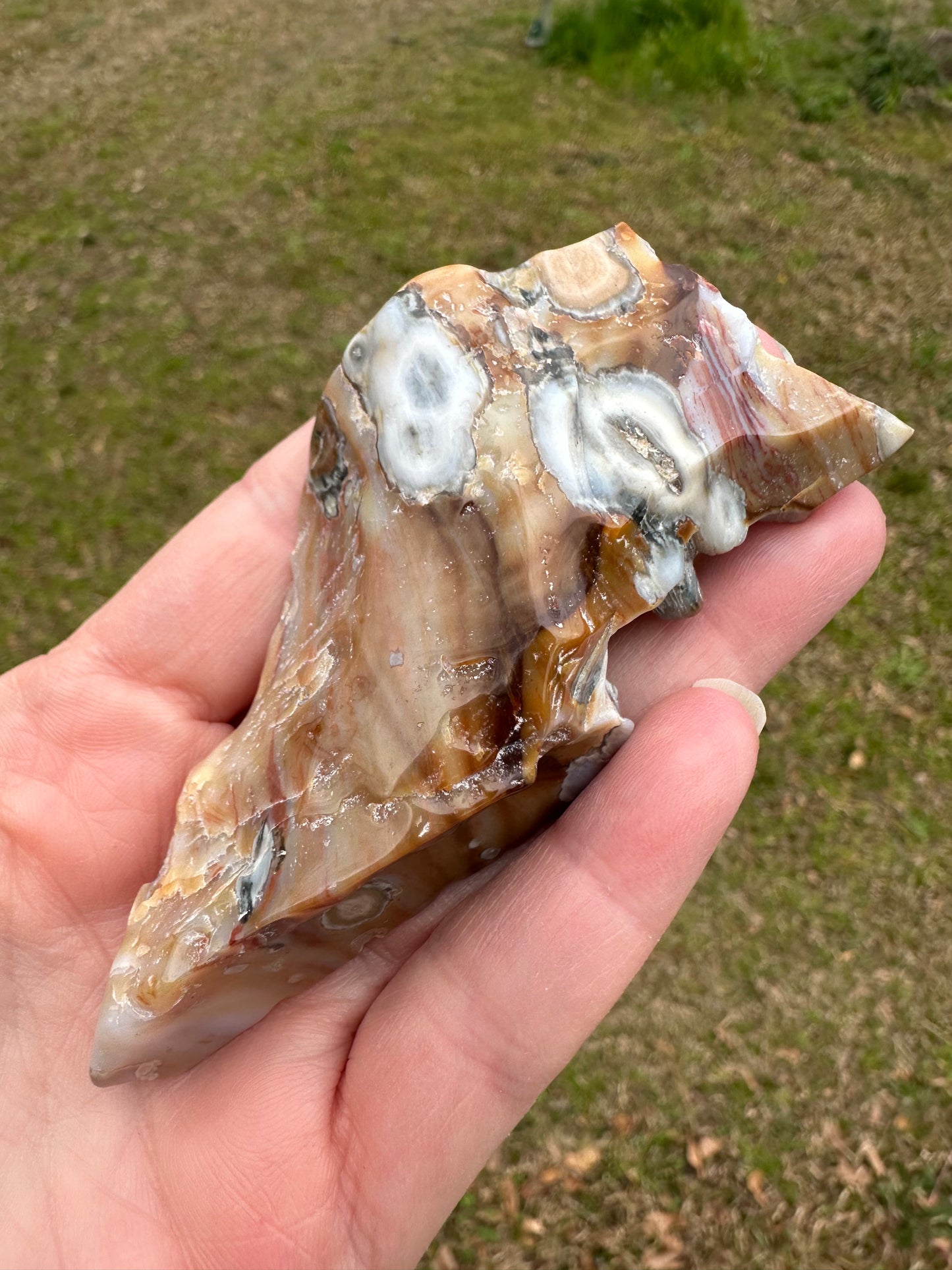 6th Vein Ocean Jasper Polished Freeform #25