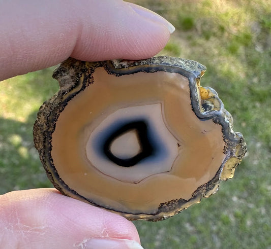 Natural Agate Slice #33