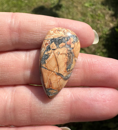 Maligano Jasper Cabochon #18