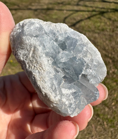 Celestite Cluster Specimen #9