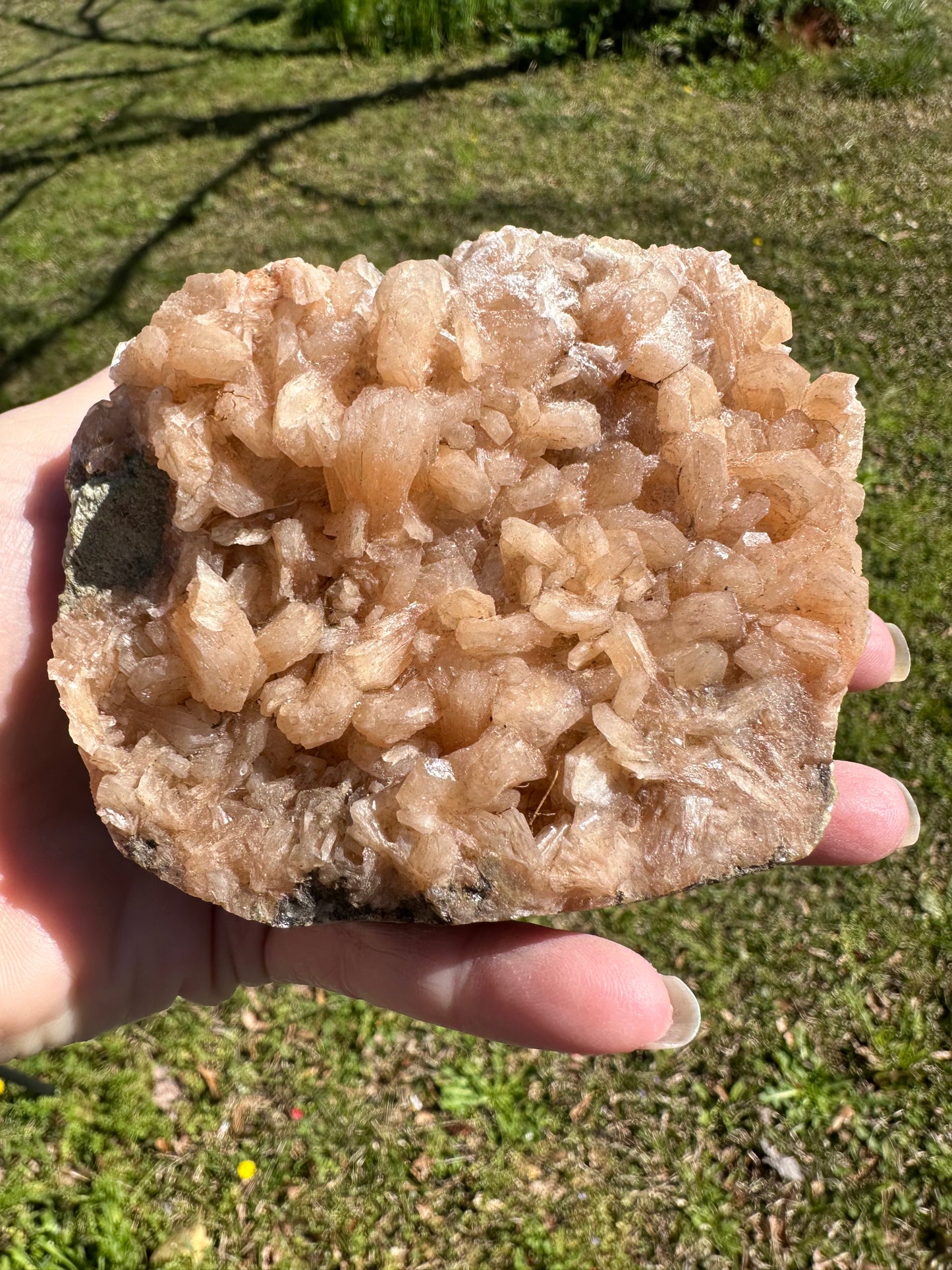 Stilbite, Uran Quarry, Maharashtra, India