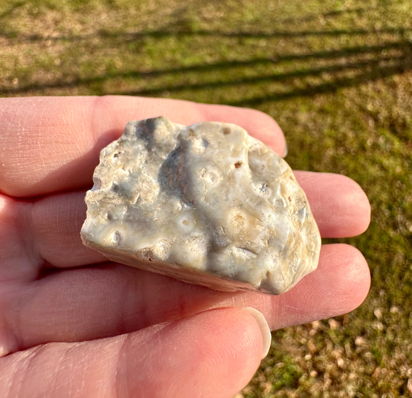 6th Vein Ocean Jasper Polished Freeform #11