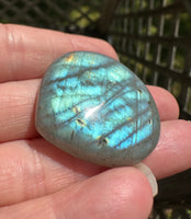 Pearshape Labradorite Cabochon 83a