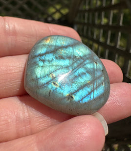 Pearshape Labradorite Cabochon 83a