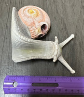 Grey & Pink Snail with Skull